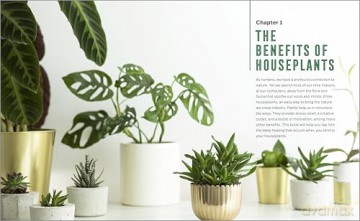 Houseplants for Beginners: A Practical Guide to Choosing, Growing, and Helping Your Plants Thrive [KSIĄŻKA]