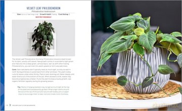 Houseplants for Beginners: A Practical Guide to Choosing, Growing, and Helping Your Plants Thrive [KSIĄŻKA]