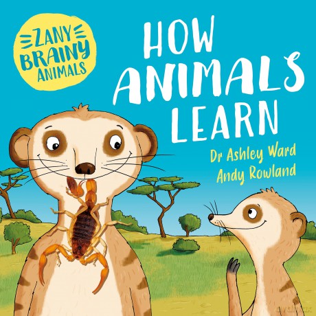 How Animals Learn [KSIĄŻKA]