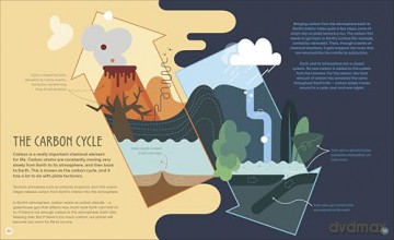 How the Earth Works: Discover How Plate Tectonics Shapes Our Planet [KSIĄŻKA]