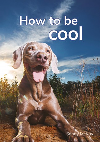 How to be cool [KSIĄŻKA]