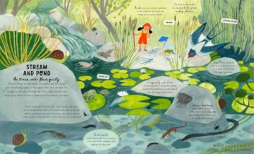 How to Grow a Garden: Find a Plant for Every Place [KSIĄŻKA]