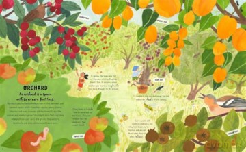 How to Grow a Garden: Find a Plant for Every Place [KSIĄŻKA]