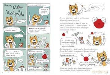 How to Make a Diamond and Other Incredible Ideas About Chemistry: And Other Incredible Ideas About Chemistry [KSIĄŻKA]