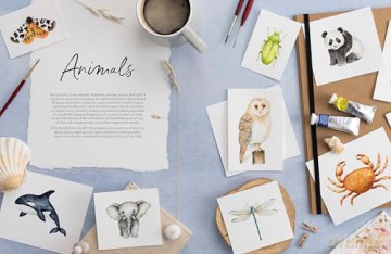 How to Paint It!: 100 simple watercolor paintings in six steps or less [KSIĄŻKA]
