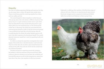 How to Read a Chicken's Mind: Understand How Chickens Learn, Perceive People, Express Emotions, and Pass Down Knowledge [KSIĄŻKA]