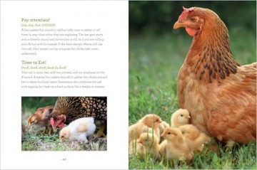 How to Read a Chicken's Mind: Understand How Chickens Learn, Perceive People, Express Emotions, and Pass Down Knowledge [KSIĄŻKA]