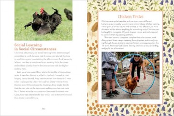 How to Read a Chicken's Mind: Understand How Chickens Learn, Perceive People, Express Emotions, and Pass Down Knowledge [KSIĄŻKA]