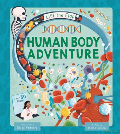 Human Body Adventure [KSIĄŻKA]