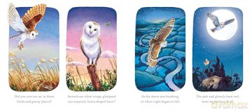 I am Emily the Owl: A tale from our wild and wonderful night skies: 3 [KSIĄŻKA]