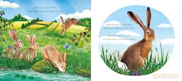 I am Hattie the Hare: A Tale from our Wild and Wonderful Meadows: 2 [KSIĄŻKA]
