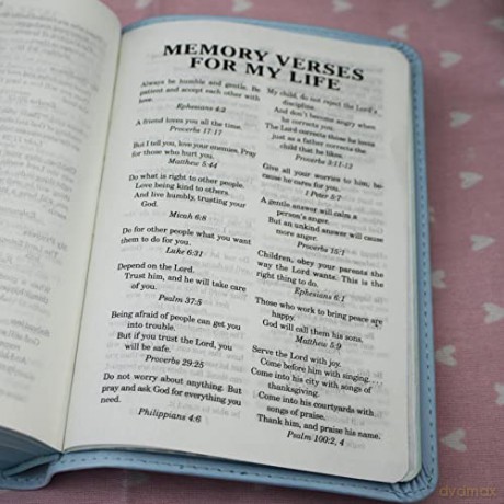 ICB, Really Woolly Holy Bible, Leathersoft, Pink: Children's Edition - Pink [KSIĄŻKA]