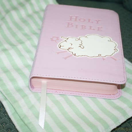 ICB, Really Woolly Holy Bible, Leathersoft, Pink: Children's Edition - Pink [KSIĄŻKA]