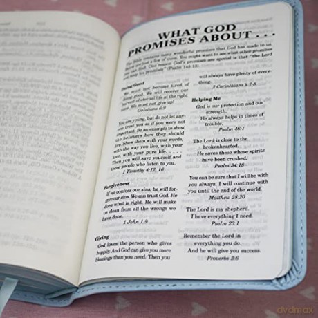 ICB, Really Woolly Holy Bible, Leathersoft, Pink: Children's Edition - Pink [KSIĄŻKA]