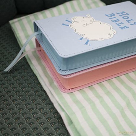 ICB, Really Woolly Holy Bible, Leathersoft, Pink: Children's Edition - Pink [KSIĄŻKA]