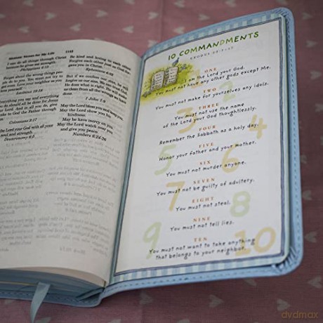 ICB, Really Woolly Holy Bible, Leathersoft, Pink: Children's Edition - Pink [KSIĄŻKA]