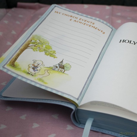 ICB, Really Woolly Holy Bible, Leathersoft, Pink: Children's Edition - Pink [KSIĄŻKA]
