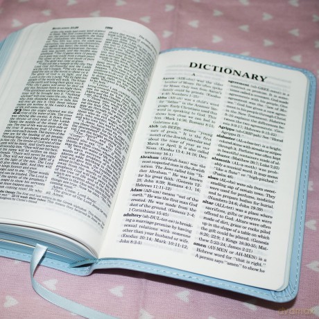 ICB, Really Woolly Holy Bible, Leathersoft, Pink: Children's Edition - Pink [KSIĄŻKA]