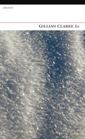 Ice [KSIĄŻKA]