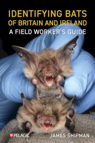 Identifying Bats of Britain and Ireland: A Field Worker's Guide [KSIĄŻKA]