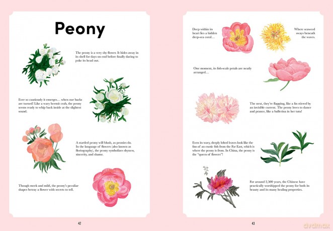 If Flowers Were Little Monsters: A Field Guide to Fact and Fantasy [KSIĄŻKA]