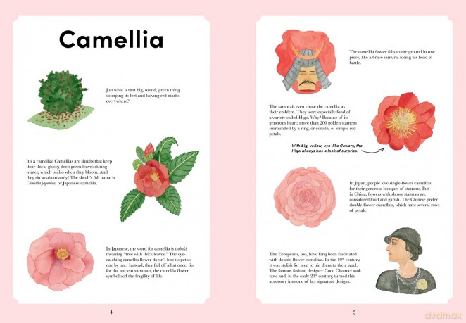 If Flowers Were Little Monsters: A Field Guide to Fact and Fantasy [KSIĄŻKA]