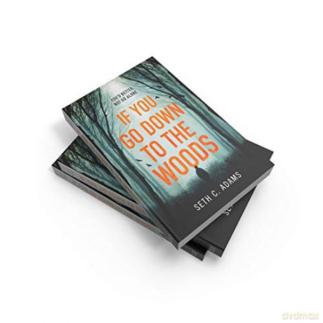 If You Go Down to the Woods: A powerful and gripping debut thriller which will send you on an emotional rollercoaster! [KSIĄŻKA]
