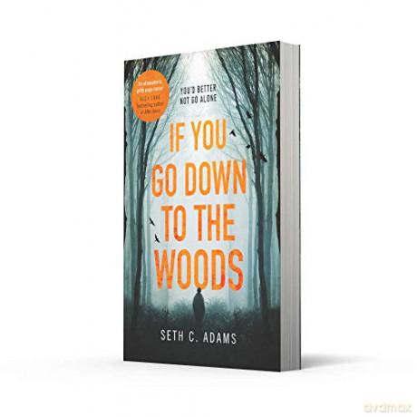 If You Go Down to the Woods: A powerful and gripping debut thriller which will send you on an emotional rollercoaster! [KSIĄŻKA]