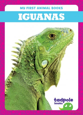 Iguanas [KSIĄŻKA]