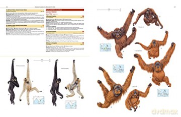 Illustrated Checklist of the Mammals of the World. 2 volums [KSIĄŻKA]