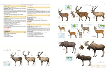 Illustrated Checklist of the Mammals of the World. 2 volums [KSIĄŻKA]