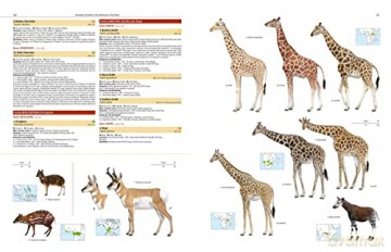 Illustrated Checklist of the Mammals of the World. 2 volums [KSIĄŻKA]