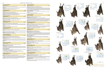 Illustrated Checklist of the Mammals of the World. 2 volums [KSIĄŻKA]