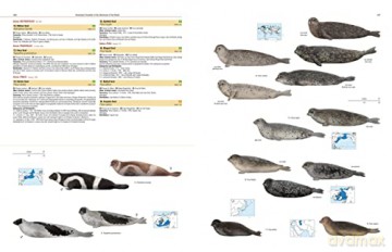 Illustrated Checklist of the Mammals of the World. 2 volums [KSIĄŻKA]