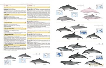 Illustrated Checklist of the Mammals of the World. 2 volums [KSIĄŻKA]