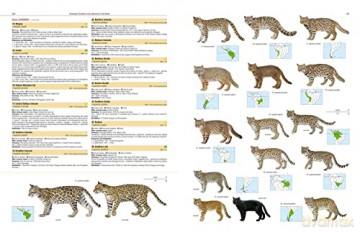 Illustrated Checklist of the Mammals of the World. 2 volums [KSIĄŻKA]