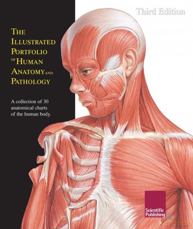 Illustrated Portfolio of Human Anatomy and Pathology: The Definitive Collection of 30 Anatomical Charts of the Human Body [KSIĄŻKA]