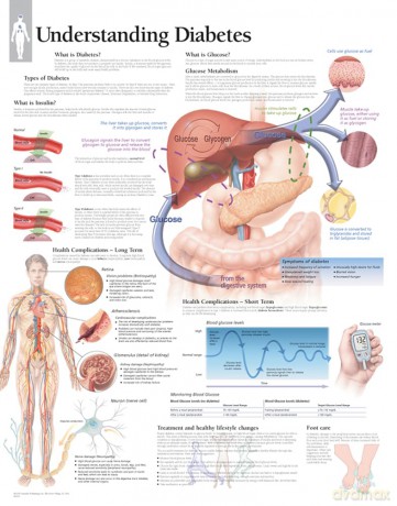 Illustrated Portfolio of Human Anatomy and Pathology: The Definitive Collection of 30 Anatomical Charts of the Human Body [KSIĄŻKA]
