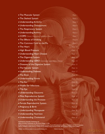 Illustrated Portfolio of Human Anatomy and Pathology: The Definitive Collection of 30 Anatomical Charts of the Human Body [KSIĄŻKA]