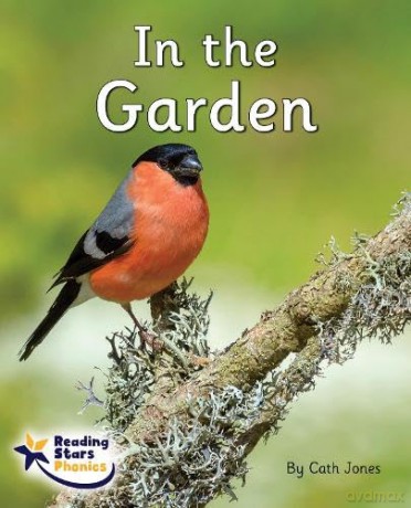 In the Garden: Phase 4 [KSIĄŻKA]