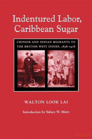 Indentured Labor, Caribbean Sugar: Chinese and Indian Migrants to the British West Indies, 1838-1918 [KSIĄŻKA]