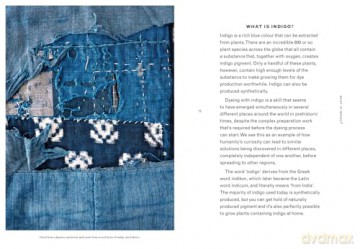 Indigo: An inspiring handbook for mastering the art of natural indigo dye and textile crafts [KSIĄŻKA]