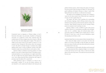 Indigo: An inspiring handbook for mastering the art of natural indigo dye and textile crafts [KSIĄŻKA]