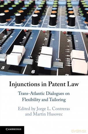 Injunctions in Patent Law: Trans-Atlantic Dialogues on Flexibility and Tailoring [KSIĄŻKA]