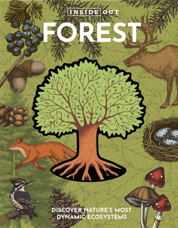 Inside Out Forest: Discover Nature's Most Dynamic Ecosystems [KSIĄŻKA]