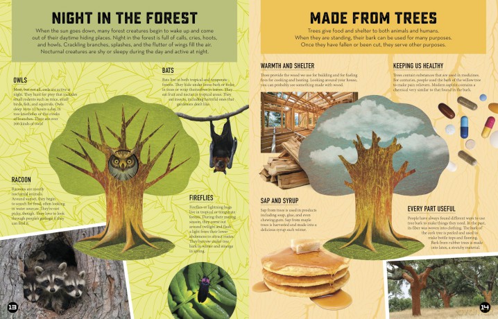 Inside Out Forest: Discover Nature's Most Dynamic Ecosystems [KSIĄŻKA]