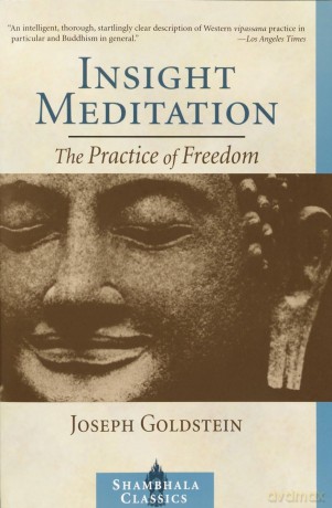 Insight Meditation: The Practice of Freedom [KSIĄŻKA]
