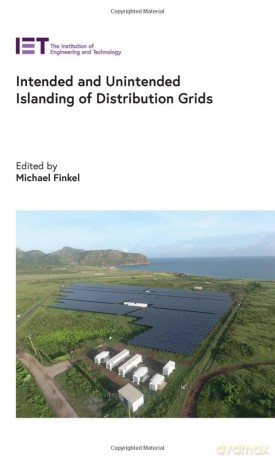 Intended and Unintended Islanding of Distribution Grids [KSIĄŻKA]