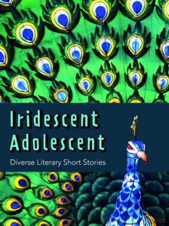 Iridescent Adolescent - Diverse Literary Shorts Stories [KSIĄŻKA]