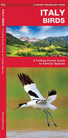 Italy Birds: A Folding Pocket Guide to Familiar Species [KSIĄŻKA]